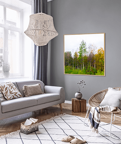 FOREST_06_SQ